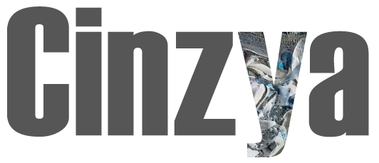Cinzya.com Logo